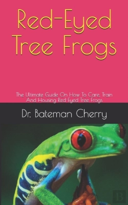 Bertrand.pt - Red-Eyed Tree Frogs