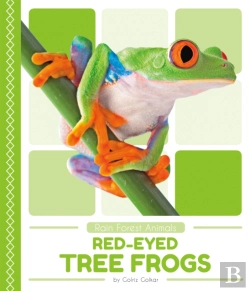 Bertrand.pt - Red-Eyed Tree Frogs