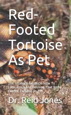 Bertrand.pt - Red-Footed Tortoise As Pet