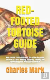 Red-Footed Tortoise Guide