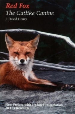 Bertrand.pt - Red Fox