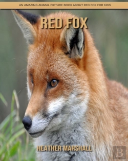 Bertrand.pt - Red Fox
