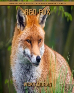 Bertrand.pt - Red Fox