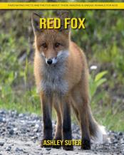 Red Fox