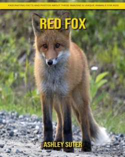 Bertrand.pt - Red Fox