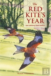 Red Kite'S Year
