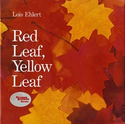Bertrand.pt - Red Leaf, Yellow Leaf