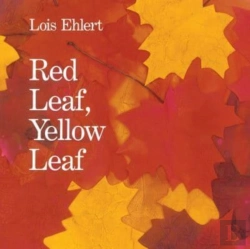 Bertrand.pt - Red Leaf, Yellow Leaf