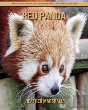 Red Panda