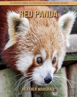 Bertrand.pt - Red Panda