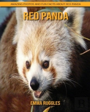 Red Panda