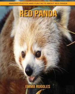 Bertrand.pt - Red Panda