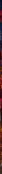 Red Station
