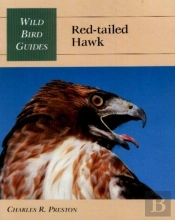 Red-Tailed Hawk