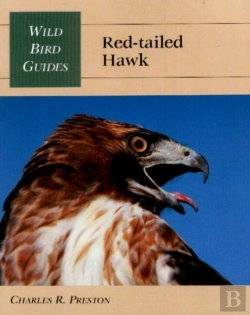 Bertrand.pt - Red-Tailed Hawk