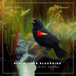 Bertrand.pt - Red-Winged Blackbird And Other Bird Songs