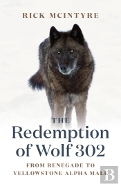 Redemption Of Wolf 302