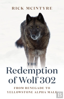 Bertrand.pt - Redemption Of Wolf 302