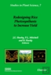 Redesigning Rice Photosynthesis To Increase Yield