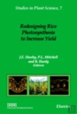 Bertrand.pt - Redesigning Rice Photosynthesis To Increase Yield