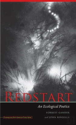 Bertrand.pt - Redstart