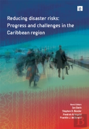 Reducing Disaster Risks