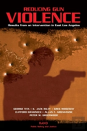 Reducing Gun Violence