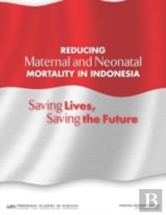 Reducing Maternal And Neonatal Mortality In Indonesia