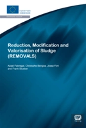 Reduction, Modification And Valorisation Of Sludge