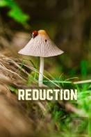 Reduction