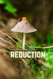 Reduction