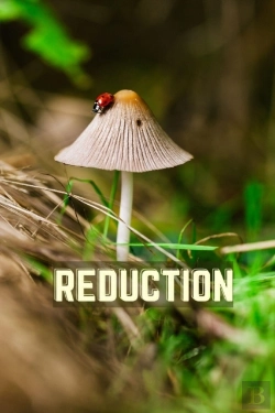 Bertrand.pt - Reduction