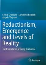 Reductionism, Emergence And Levels Of Reality