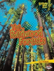 Redwood Forests