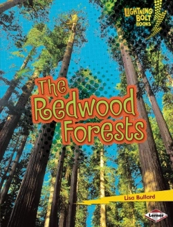Bertrand.pt - Redwood Forests