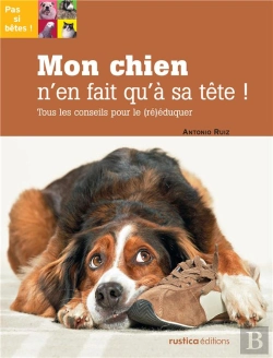 Bertrand.pt - Reeduquer Son Chien