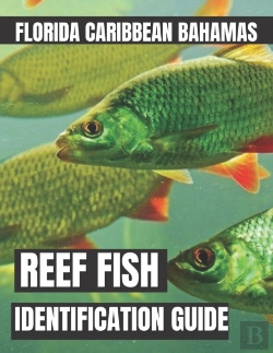 Bertrand.pt - Reef Fish Identification Guide