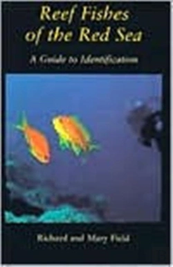 Bertrand.pt - Reef Fish Of The Red Sea