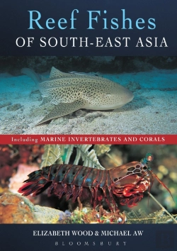 Bertrand.pt - Reef Fishes Of South-East Asia