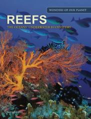Reefs