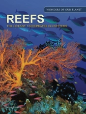 Reefs