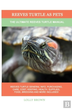 Bertrand.pt - Reeves Turtle As Pets