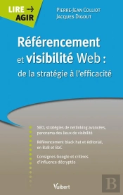 Referencement Et Visibilite Web De La Strategie A L'Efficacite