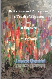 Reflections And Perceptions, A Touch Of Euphoria And A Reprieve From Misophonia