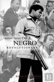 Reflections Of A Negro Revolutionary