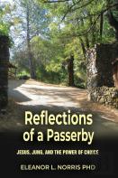 Reflections Of A Passerby