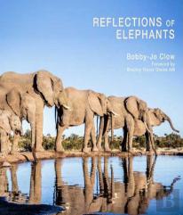 Reflections Of Elephants