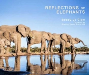 Reflections Of Elephants