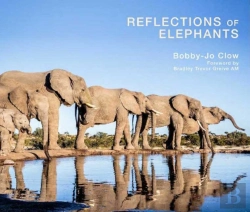 Bertrand.pt - Reflections Of Elephants