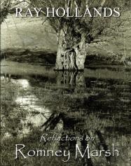 Reflections On Romney Marsh